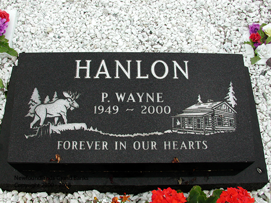 P. Wayne Hanlon