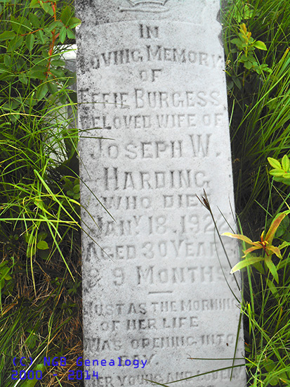 Effie Burgess Harding