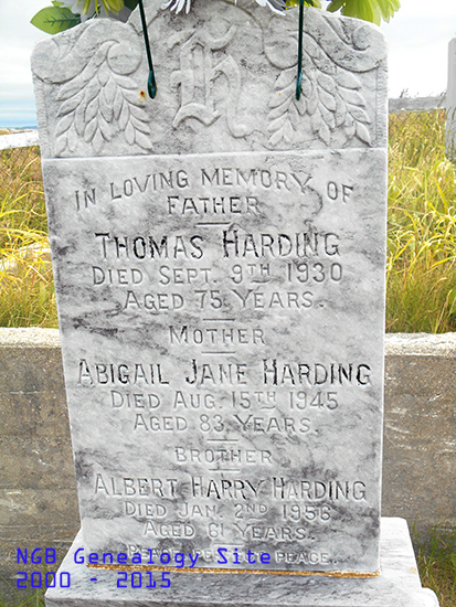 Thomas, Abigail Jane & Albert Harry Harding