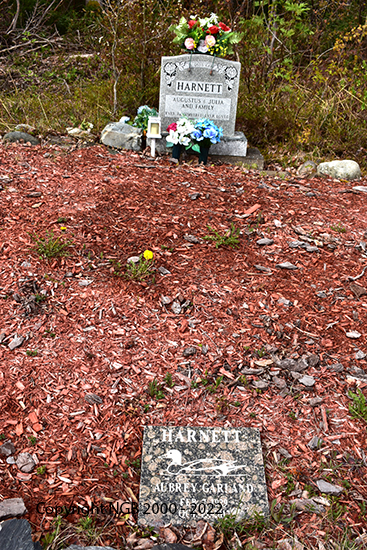 Aubrey Garland Harnett
