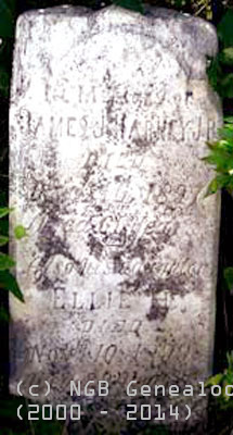 James and Ellie Harney