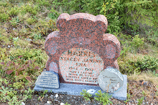 Stacey Janine Ena Harris