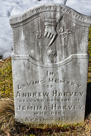 Andrew Harvey