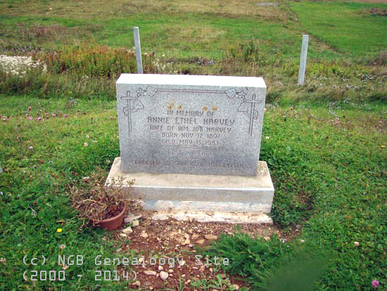 Anni Ethele Harvey