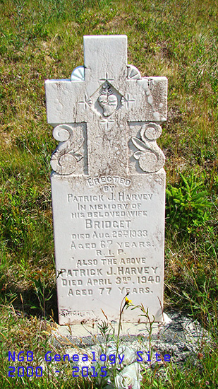 Bridget & Patrick Harvey