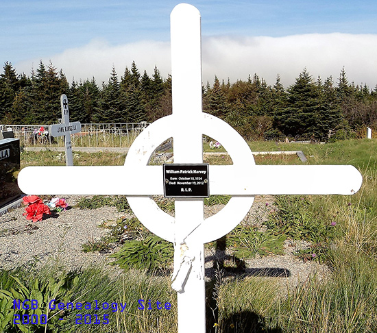 William Patrick Harvey