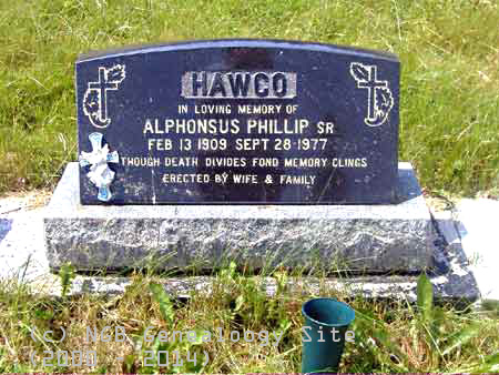 Alphoinsus HAWCO SR.