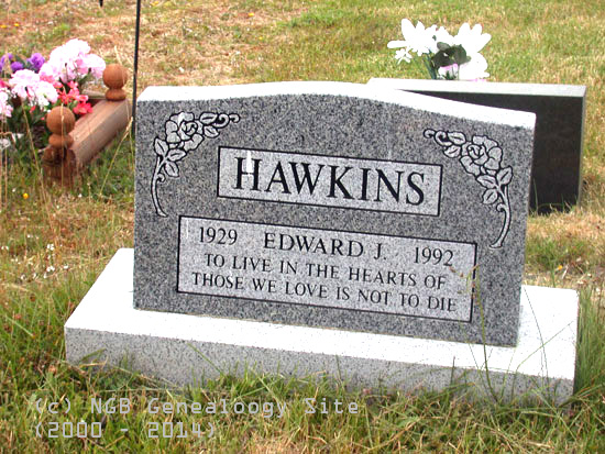 Edward J. Hawkins