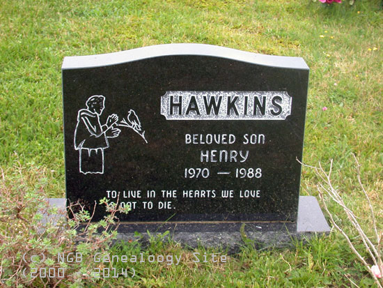 Henry Hawkins