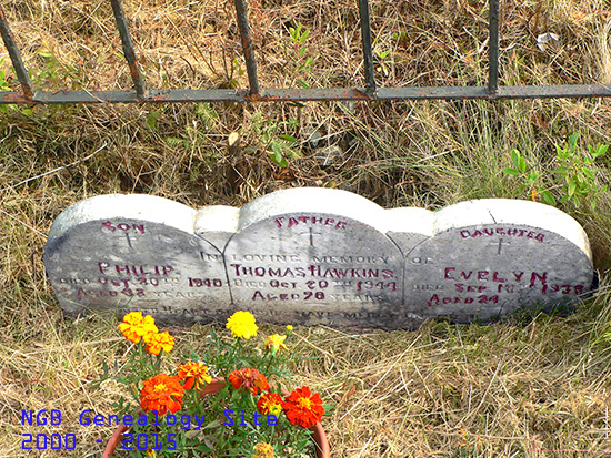 Thomas, Philip & Evelyn Hawkins