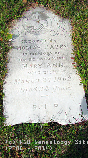 Mary Ann Hayes