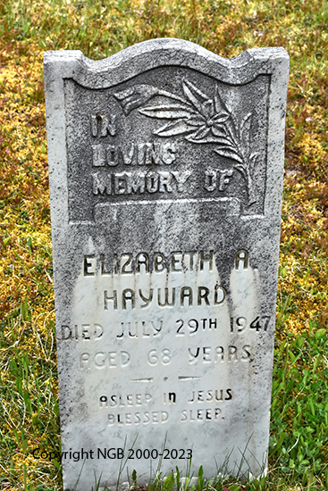 Elizabeth Hayward