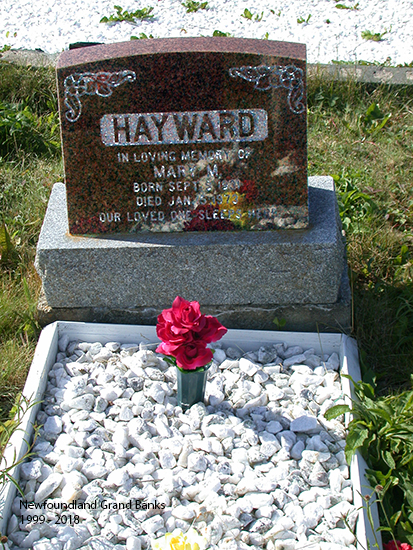 Mary M Hayward