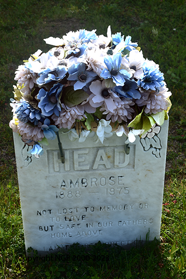 Ambrose Head
