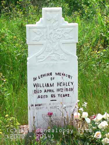 William Healey