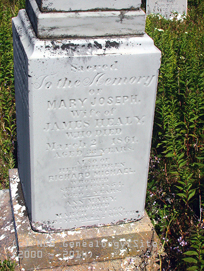 Mary, Ann, Mary & James Healy