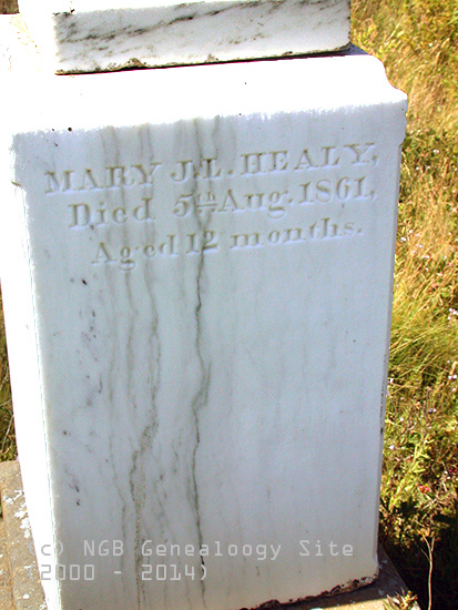 Mary, Ann, Mary & James Healy