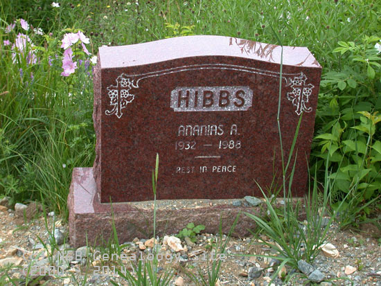 Ananias A. Hibbs