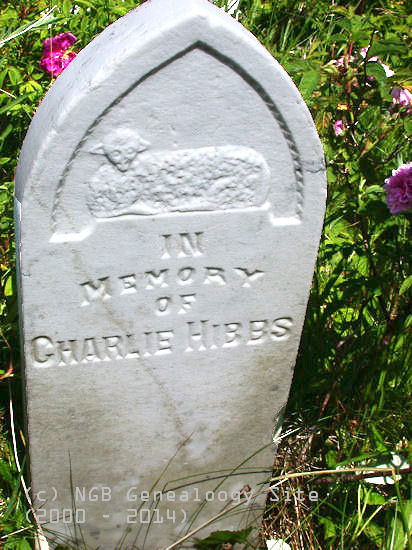 Charlie Hibbs