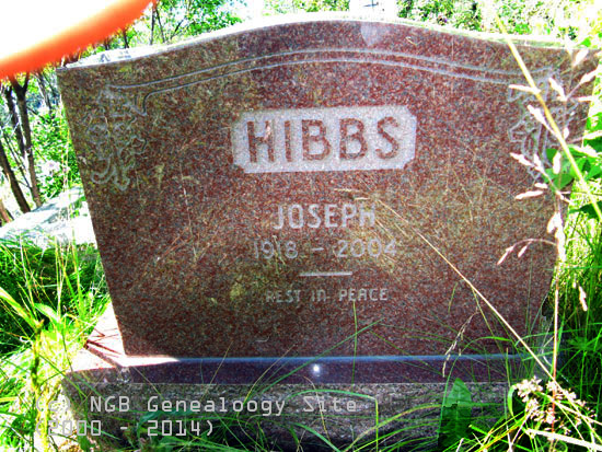 Joseph Hibbs