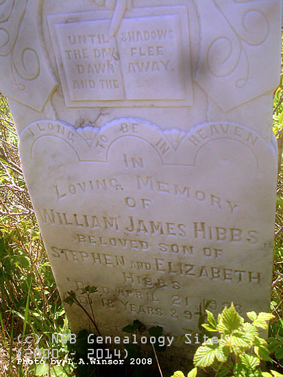 William James Hibbs