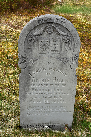 Annie Hill