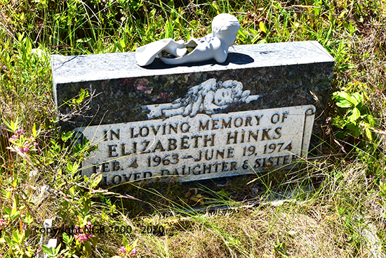 Elizabeth Hinks