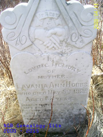 Lavinia Ann Hobbs