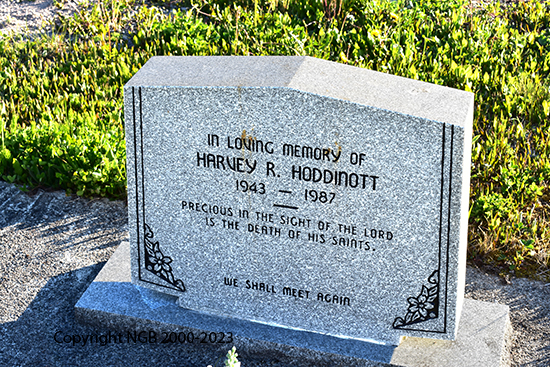 Harvey r. Hoddinott