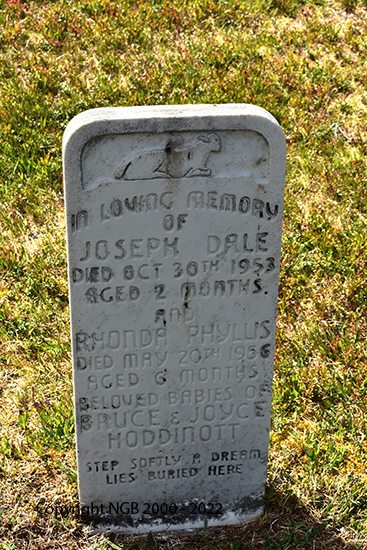 Joseph Dale & Rhonda Phyllis Hoddintt