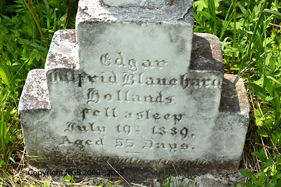Edgar Wilfred Blanchard Hollands