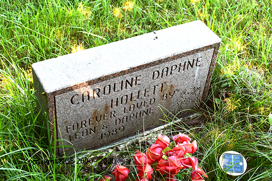 Caroline Daphne Hollett