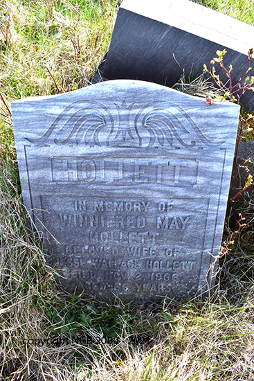 Winnifred May Hollett