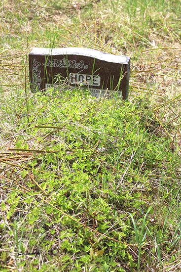 Josephine & Laurie Hope