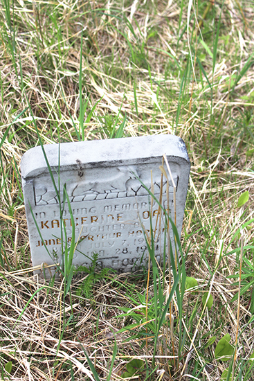 Katherine Joan Hopkins