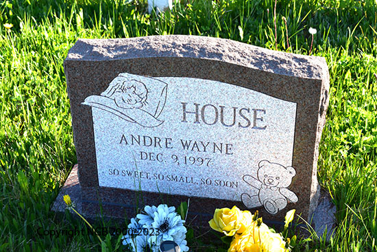 Andre Wayne House