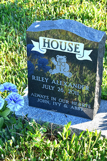 Riley Alexander House