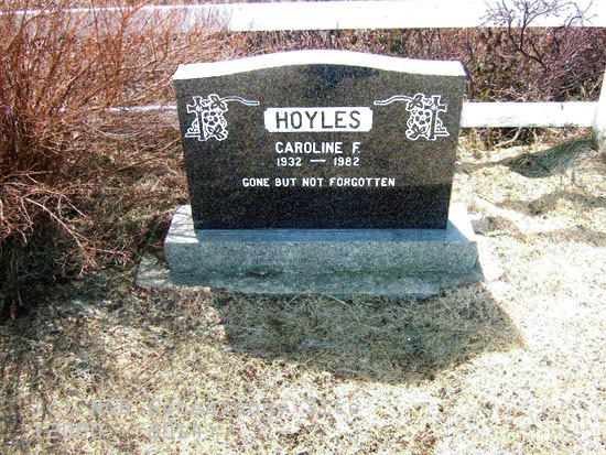 Caroline Hoyles