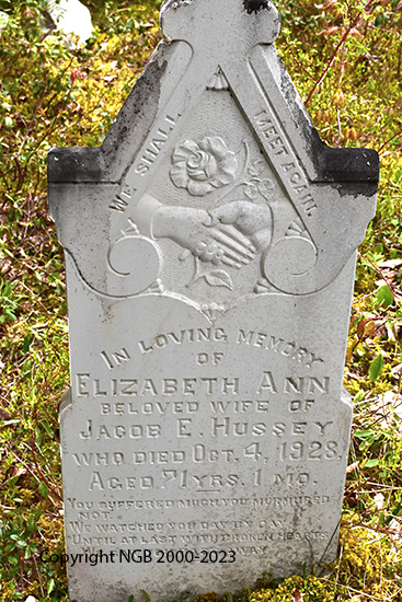 Elizabeth Ann Hussey