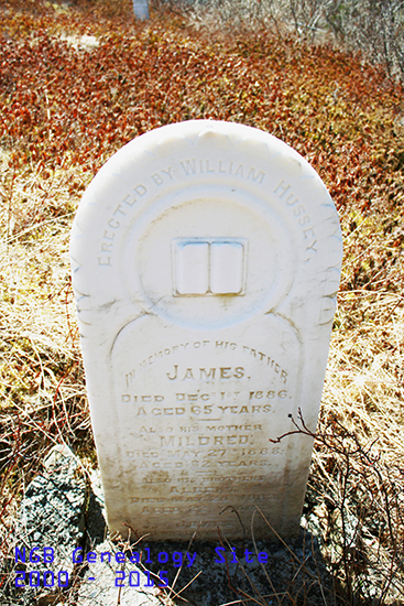 James,  Mildred & Albert Hussey 