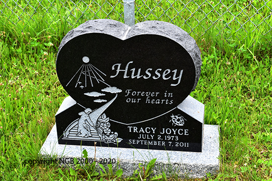 Tracey Joyce Hussey