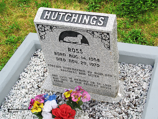 Ross Hutchings