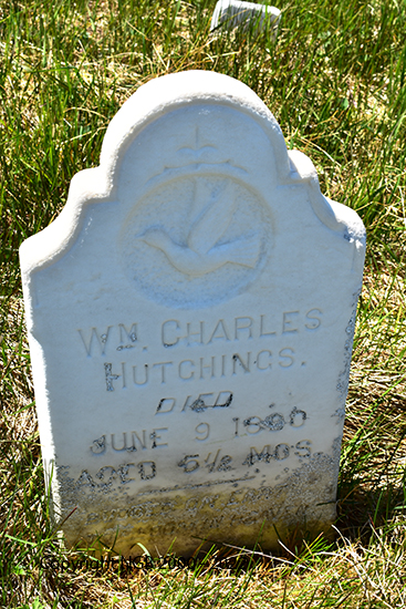 Wm Charles Hutchings