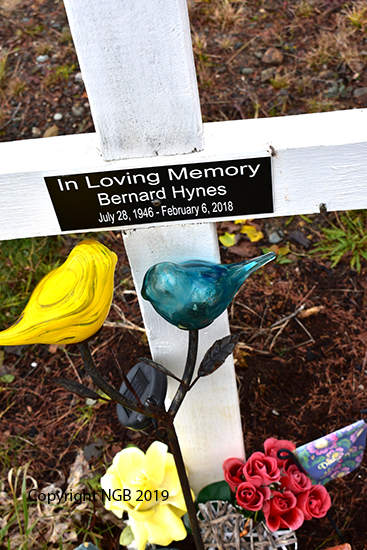 Bernard Hynes