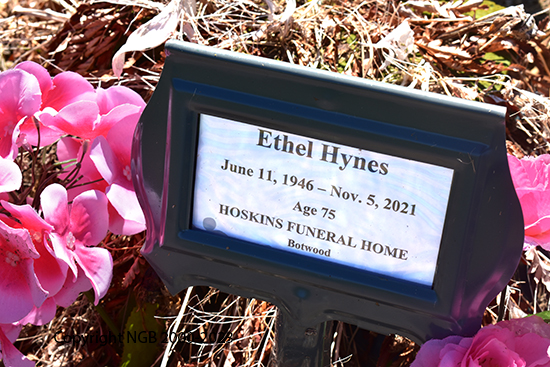 Ethel Hynes