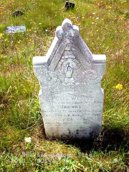 Samuel Wesley Jacobs