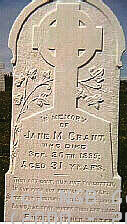 Jane M. Crant