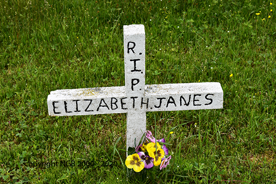 Elizabeth Janes