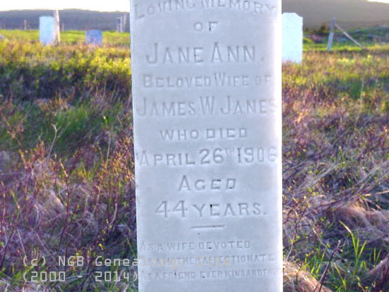 Jane Ann Janes