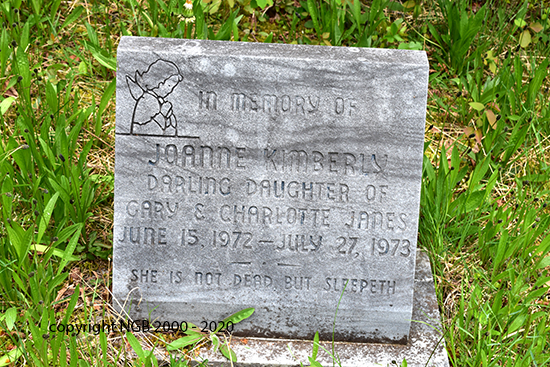 Joanne Kimberly Janes